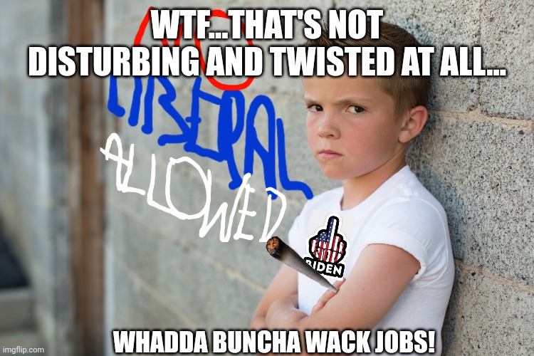 WTF...THAT'S NOT DISTURBING AND TWISTED AT ALL... WHADDA BUNCHA WACK JOBS! | made w/ Imgflip meme maker