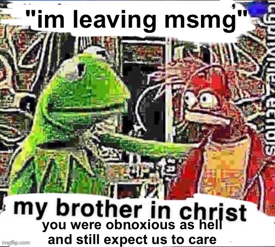 My brother in Christ | "im leaving msmg"; you were obnoxious as hell and still expect us to care | image tagged in my brother in christ | made w/ Imgflip meme maker