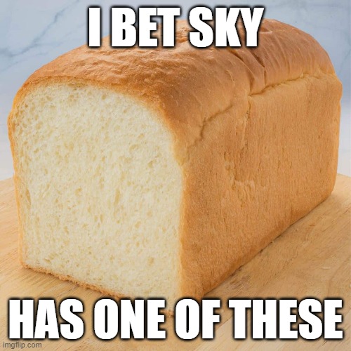K | I BET SKY; HAS ONE OF THESE | image tagged in bread,ohio | made w/ Imgflip meme maker