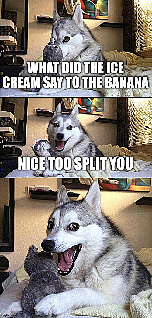 Get it like banana split | WHAT DID THE ICE CREAM SAY TO THE BANANA; NICE TOO SPLIT YOU | image tagged in memes,bad pun dog | made w/ Imgflip meme maker