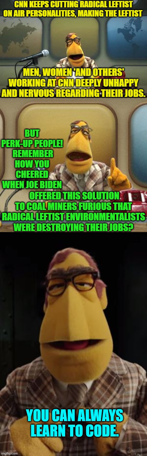 Wouldn t cnn employees cheer if dementia joe biden were to offer
