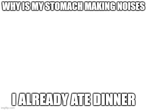 i'm confused | WHY IS MY STOMACH MAKING NOISES; I ALREADY ATE DINNER | made w/ Imgflip meme maker