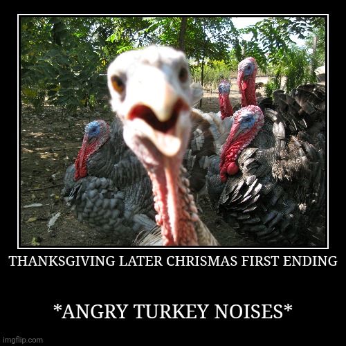 Turkey | image tagged in funny,demotivationals,turkey | made w/ Imgflip demotivational maker