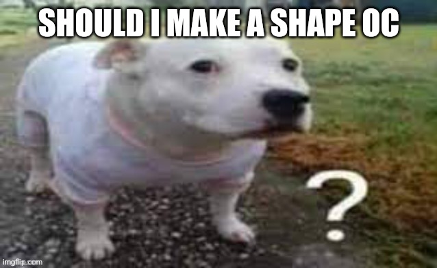 Dog question mark | SHOULD I MAKE А SHAPE OC | image tagged in dog question mark | made w/ Imgflip meme maker