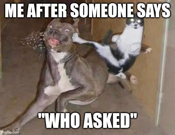 GET REKT |  ME AFTER SOMEONE SAYS; "WHO ASKED" | image tagged in get rekt | made w/ Imgflip meme maker