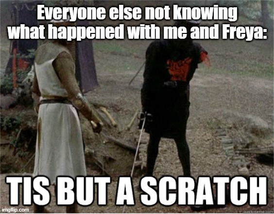 tis but a scratch | Everyone else not knowing what happened with me and Freya: | image tagged in tis but a scratch | made w/ Imgflip meme maker