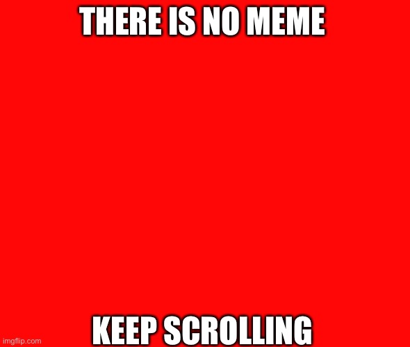 THERE IS NO MEME; KEEP SCROLLING | image tagged in unnecessary tags | made w/ Imgflip meme maker