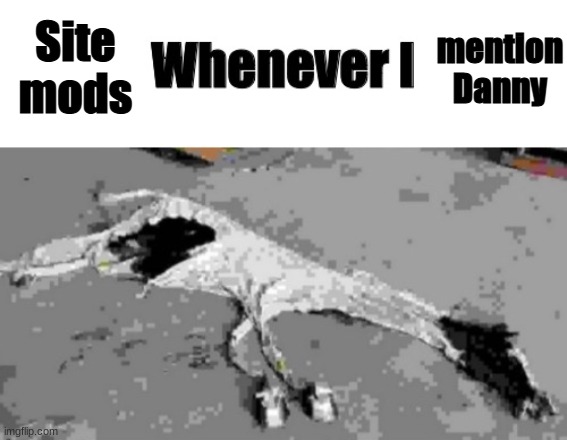 Site mods; mention Danny | image tagged in whenever i | made w/ Imgflip meme maker