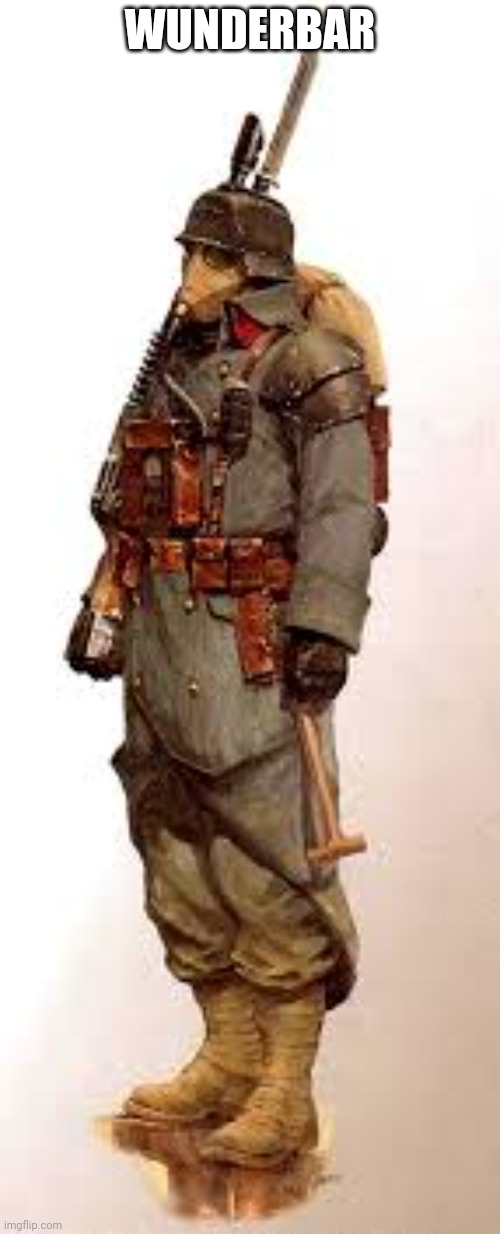 Hanz the Kriegsman | WUNDERBAR | image tagged in hanz the kriegsman | made w/ Imgflip meme maker