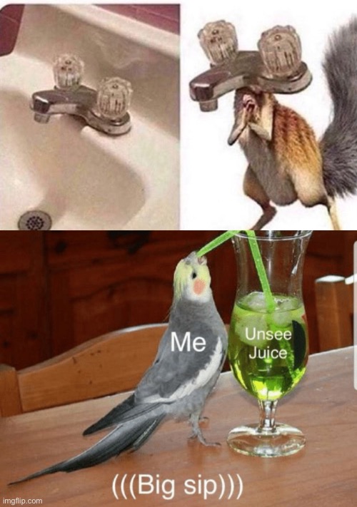 Thanks, I Hate it Now. | image tagged in unsee juice,memes,unsee,funny,sink,ice age | made w/ Imgflip meme maker