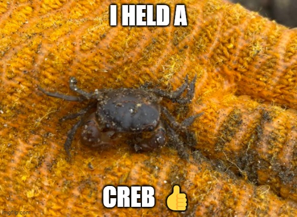 I HELD A; CREB 👍 | made w/ Imgflip meme maker