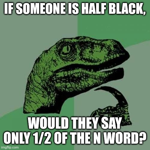 Philosoraptor Meme | IF SOMEONE IS HALF BLACK, WOULD THEY SAY ONLY 1/2 OF THE N WORD? | image tagged in memes,philosoraptor | made w/ Imgflip meme maker