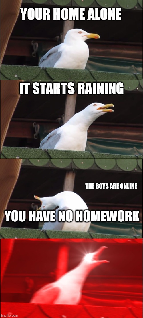 Inhaling Seagull Meme | YOUR HOME ALONE; IT STARTS RAINING; THE BOYS ARE ONLINE; YOU HAVE NO HOMEWORK | image tagged in memes | made w/ Imgflip meme maker