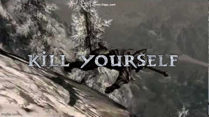 Skyrim KYS | image tagged in skyrim kys | made w/ Imgflip meme maker
