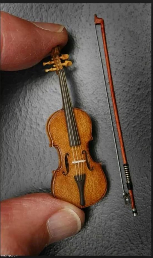 Smallest violin | image tagged in smallest violin | made w/ Imgflip meme maker