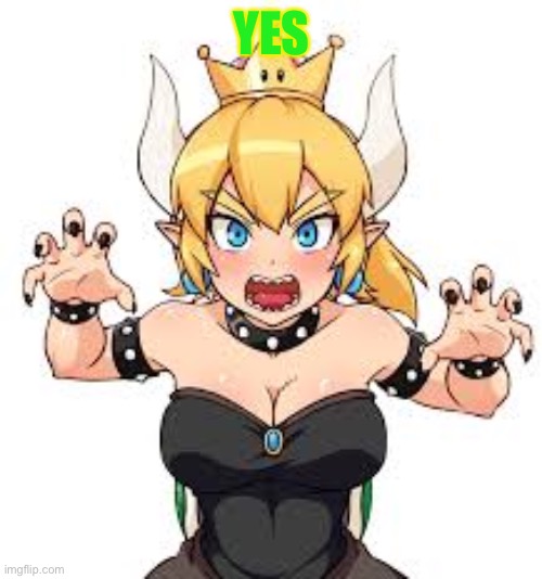 Bowsette | YES | image tagged in bowsette | made w/ Imgflip meme maker