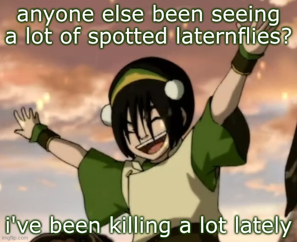 toph | anyone else been seeing a lot of spotted laternflies? i've been killing a lot lately | image tagged in toph | made w/ Imgflip meme maker
