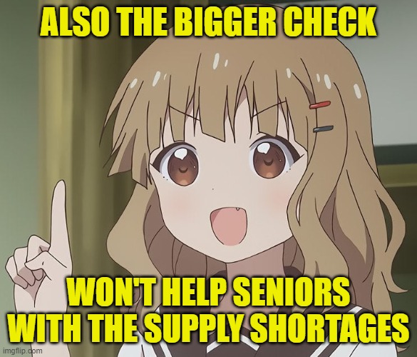 The person above me | ALSO THE BIGGER CHECK WON'T HELP SENIORS WITH THE SUPPLY SHORTAGES | image tagged in the person above me | made w/ Imgflip meme maker