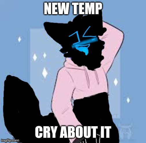 Femboy Error | NEW TEMP; CRY ABOUT IT | image tagged in femboy error | made w/ Imgflip meme maker