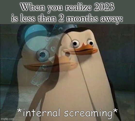 Private Internal Screaming | When you realize 2023 is less than 2 months away: | image tagged in private internal screaming | made w/ Imgflip meme maker