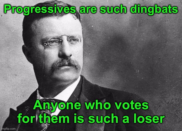 Theodore Roosevelt | Progressives are such dingbats Anyone who votes for them is such a loser | image tagged in theodore roosevelt | made w/ Imgflip meme maker