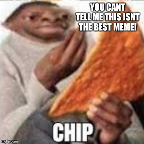 the big ass chip or chip | YOU CANT TELL ME THIS ISNT THE BEST MEME! | image tagged in the big ass chip or chip | made w/ Imgflip meme maker