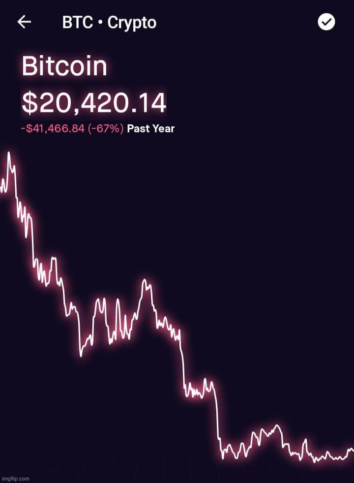 Bitcoin decline 2022 | image tagged in bitcoin decline 2022 | made w/ Imgflip meme maker