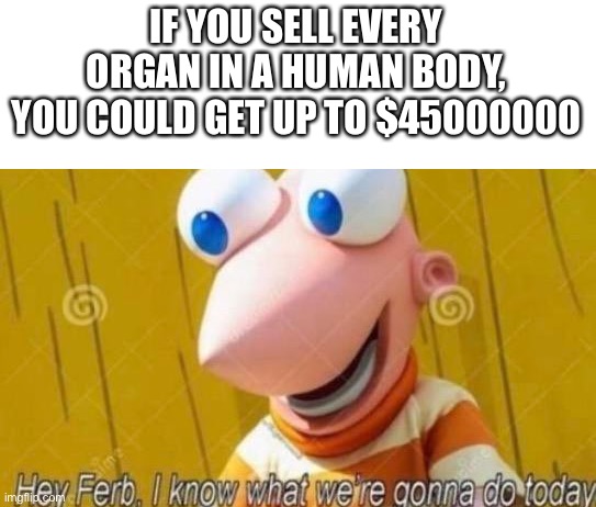 Boutta be rich | IF YOU SELL EVERY ORGAN IN A HUMAN BODY, YOU COULD GET UP TO $45000000 | image tagged in hey ferb,dark humor,memes,funny memes | made w/ Imgflip meme maker