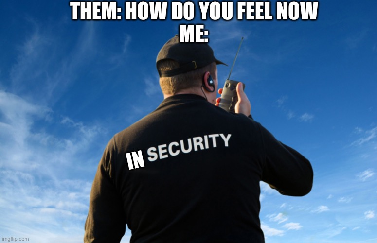 Insecurity | THEM: HOW DO YOU FEEL NOW
ME:; IN | image tagged in private security,insecurity,security,feels | made w/ Imgflip meme maker