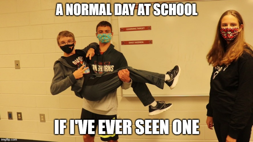 A Normal Day at School | A NORMAL DAY AT SCHOOL; IF I'VE EVER SEEN ONE | image tagged in the office files,school,ava rage | made w/ Imgflip meme maker
