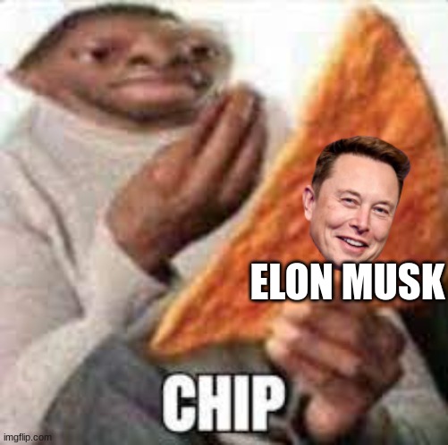 ELON MUSK | image tagged in memes | made w/ Imgflip meme maker