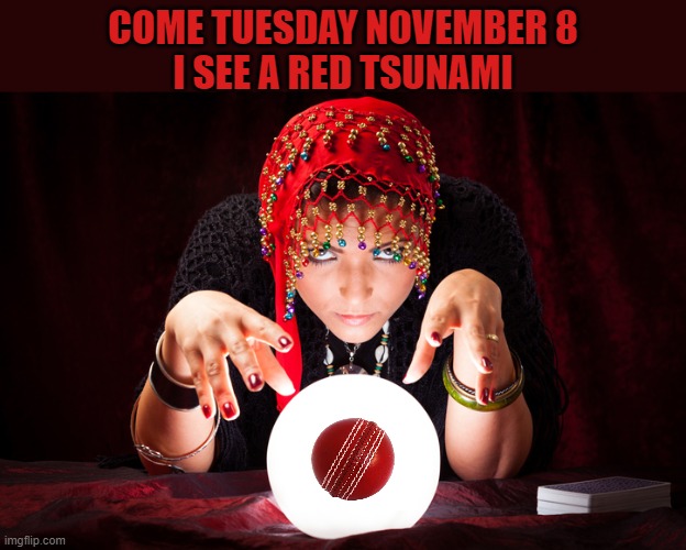 Red Wave | COME TUESDAY NOVEMBER 8 
I SEE A RED TSUNAMI | image tagged in fortune teller gypsy,democrats | made w/ Imgflip meme maker