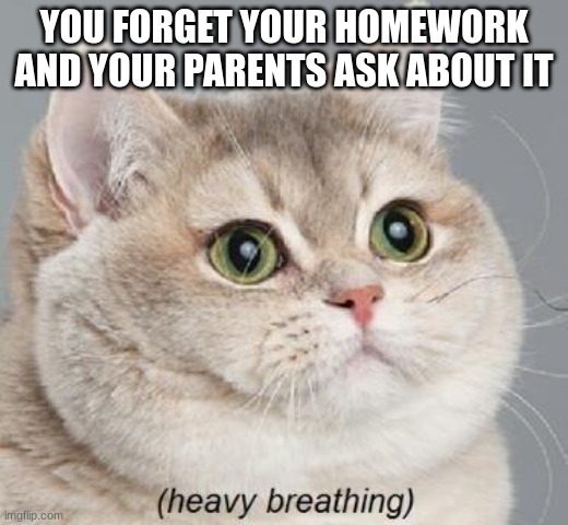 Heavy Breathing Cat | YOU FORGET YOUR HOMEWORK AND YOUR PARENTS ASK ABOUT IT | image tagged in memes,heavy breathing cat | made w/ Imgflip meme maker