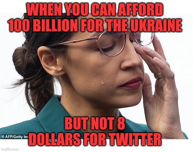 her brain is sweating | WHEN YOU CAN AFFORD 100 BILLION FOR THE UKRAINE; BUT NOT 8 DOLLARS FOR TWITTER | image tagged in her brain is sweating | made w/ Imgflip meme maker