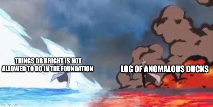Both amazing articles | LOG OF ANOMALOUS DUCKS; THINGS DR BRIGHT IS NOT ALLOWED TO DO IN THE FOUNDATION | image tagged in one piece duel | made w/ Imgflip meme maker