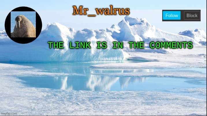 Mr_walrus | THE LINK IS IN THE COMMENTS | image tagged in mr_walrus | made w/ Imgflip meme maker