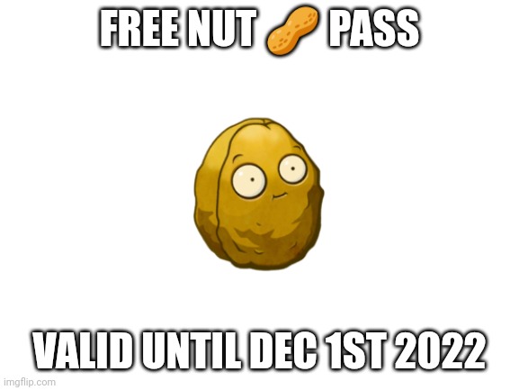 Nut pass | FREE NUT 🥜 PASS; VALID UNTIL DEC 1ST 2022 | image tagged in blank white template | made w/ Imgflip meme maker