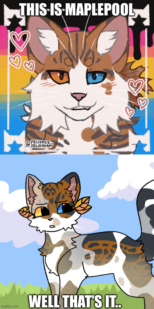 My Warriors OC I made using a Picrew- a she-cat RiverClan warrior her name  is Salmonleap - Imgflip