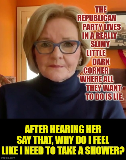 The Media...When Democrats Have Nothing To Run On | THE REPUBLICAN        PARTY LIVES IN A REALLY      SLIMY     LITTLE          DARK  
 CORNER         WHERE ALL           THEY WANT      TO DO IS LIE. AFTER HEARING HER SAY THAT, WHY DO I FEEL LIKE I NEED TO TAKE A SHOWER? | image tagged in memes,politics,msnbc,republican party,slime,shower | made w/ Imgflip meme maker