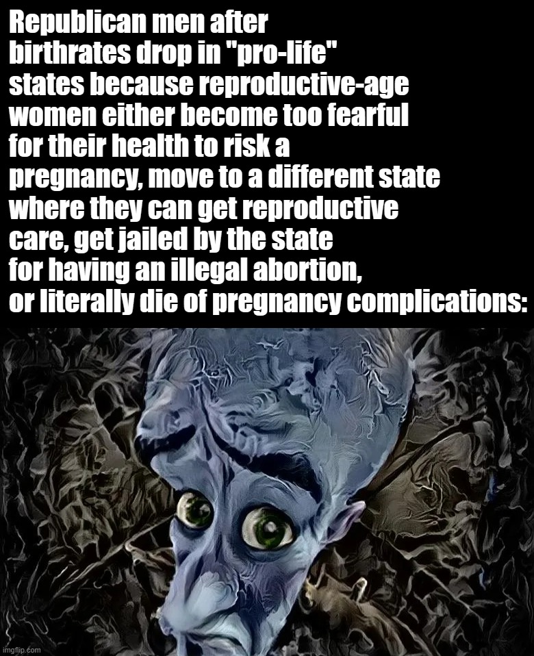 How "pro-life" policies lead to no bitches | Republican men after birthrates drop in "pro-life" states because reproductive-age women either become too fearful for their health to risk a pregnancy, move to a different state where they can get reproductive care, get jailed by the state for having an illegal abortion, or literally die of pregnancy complications: | image tagged in megamind no bitches ai art,pro-life,abortion,gender equality,equal rights,pregnancy | made w/ Imgflip meme maker