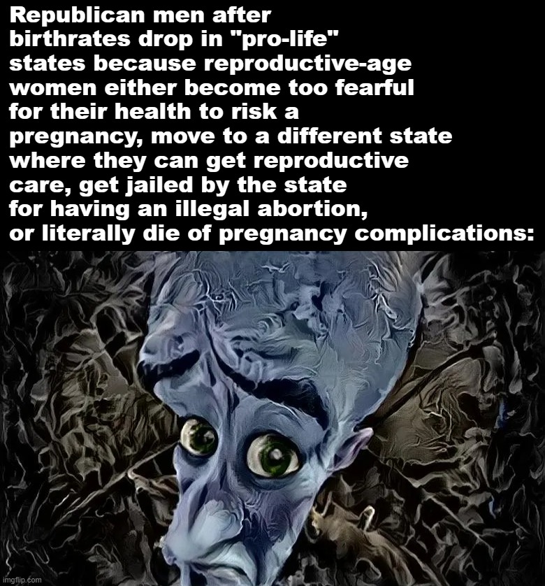 How "pro-life" policies lead to no bitches | Republican men after birthrates drop in "pro-life" states because reproductive-age women either become too fearful for their health to risk a pregnancy, move to a different state where they can get reproductive care, get jailed by the state for having an illegal abortion, or literally die of pregnancy complications: | image tagged in megamind no bitches ai art | made w/ Imgflip meme maker