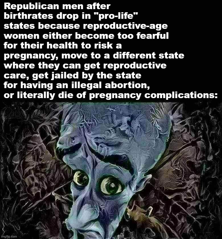 Megamind no bitches AI art | Republican men after birthrates drop in "pro-life" states because reproductive-age women either become too fearful for their health to risk a pregnancy, move to a different state where they can get reproductive care, get jailed by the state for having an illegal abortion, or literally die of pregnancy complications: | image tagged in megamind no bitches ai art | made w/ Imgflip meme maker