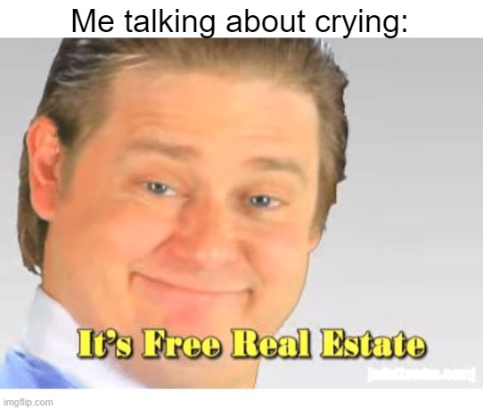 What do you miss about crying? | Me talking about crying: | image tagged in it's free real estate,memes | made w/ Imgflip meme maker