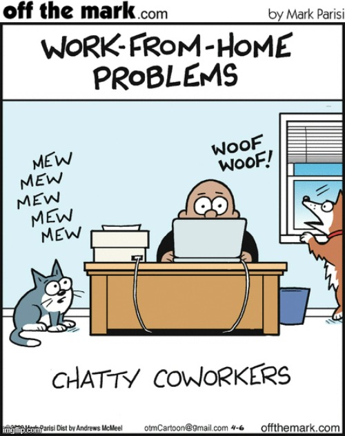 image tagged in memes,comics,cats,dogs,loud,coworkers | made w/ Imgflip meme maker