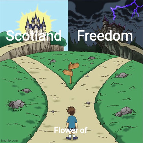 No offense to chinese people (btw I like Flower of Freedom though) |  Scotland; Freedom; Flower of | image tagged in two paths,memes,chinese,song | made w/ Imgflip meme maker