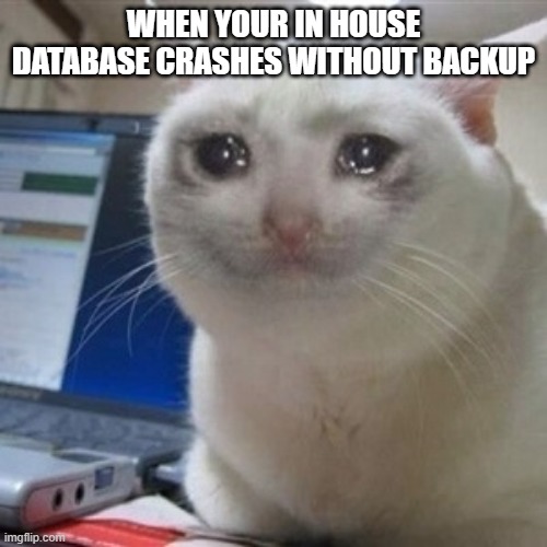 Crying cat | WHEN YOUR IN HOUSE DATABASE CRASHES WITHOUT BACKUP | image tagged in crying cat | made w/ Imgflip meme maker