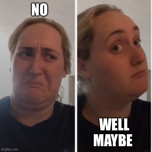 No well maybe | NO WELL MAYBE | image tagged in no well maybe | made w/ Imgflip meme maker