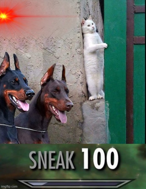 cat hiding from dogs | image tagged in sneak 100 | made w/ Imgflip meme maker