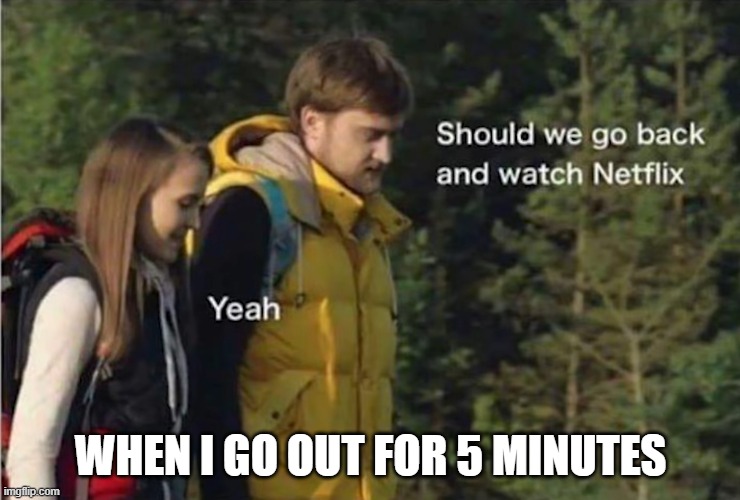 hate going outside | WHEN I GO OUT FOR 5 MINUTES | image tagged in going outside,memes,funnny,relatable memes | made w/ Imgflip meme maker