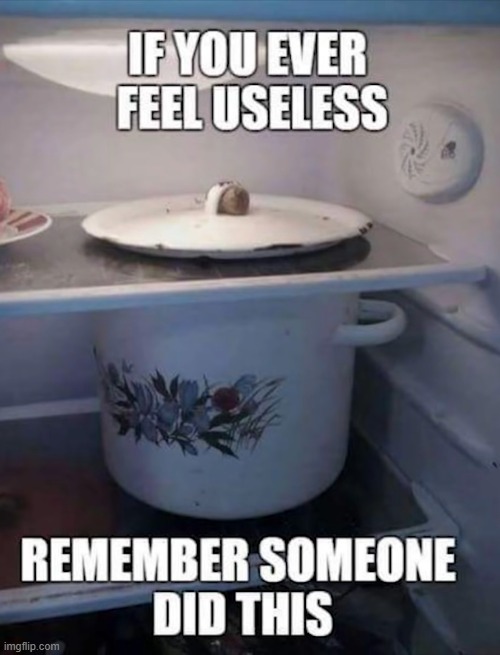 if you ever feel useless remember someone did this | image tagged in hilarious memes,memes,funny,fridge | made w/ Imgflip meme maker